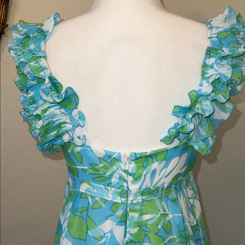 EUC Lilly Pulitzer Chiffon Maxi Ruffle Empire Waist Size 6 - Picture 7 of 16